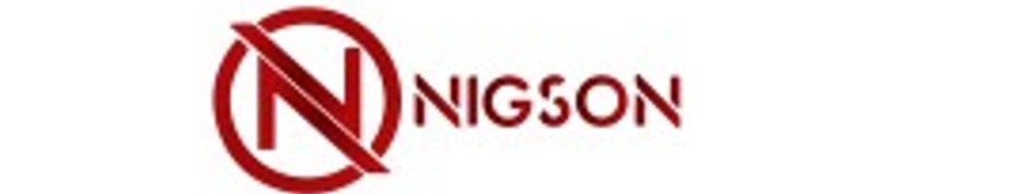 NIGSON IMPORTS & INVESTMENT COMPANY LIMITED