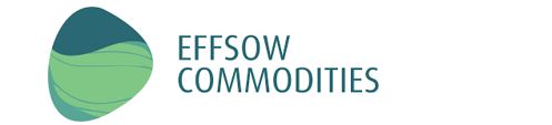 PRUDENT EFFSOW COMMODITIES LIMITED