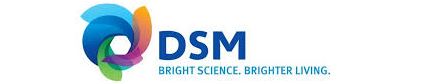 DSM NUTRITIONAL PRODUCTS NIGERIA LIMITED