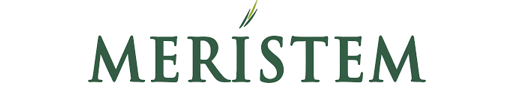 MERISTEM FINANCE LIMITED